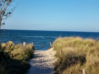 Holiday house Küstenwaldvilla in Dierhagen - Environment photo 49