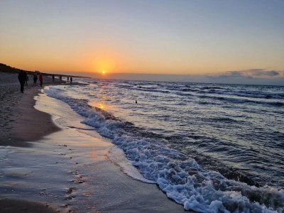 Holiday house Küstenwaldvilla in Dierhagen - Environment photo 54