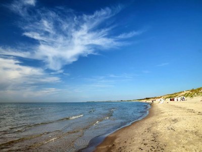 Holiday house Küstenwaldvilla in Dierhagen - Environment photo 57