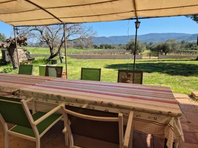 Holiday house Villa in Le Luc mit Pool und Weinbergblick - Outdoor photo 10