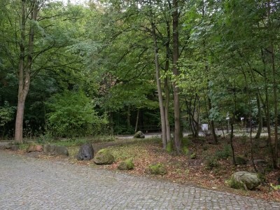 Apartment Ferienwohnung im Herzen Ilsenburgs - Environment photo 36