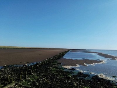 Holiday house 6 Personen Ferienhaus in Højer - Outdoor photo 6