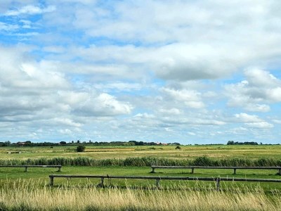 Holiday house 6 Personen Ferienhaus in Højer - Outdoor photo 8