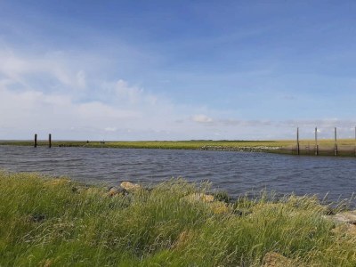 Holiday house 6 Personen Ferienhaus in Højer - Outdoor photo 11
