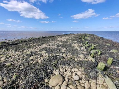 Holiday house 6 Personen Ferienhaus in Højer - Outdoor photo 21