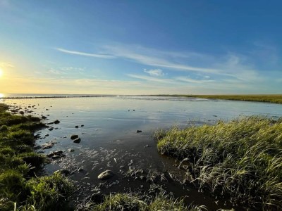 Holiday house 6 Personen Ferienhaus in Højer - Outdoor photo 34