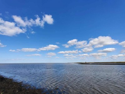 Holiday house 6 Personen Ferienhaus in Højer - Outdoor photo 36