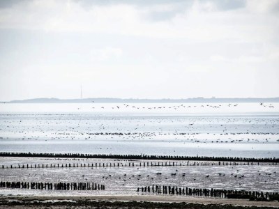Holiday house 6 Personen Ferienhaus in Højer - Outdoor photo 37