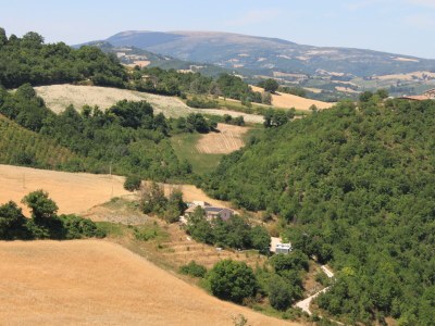 Apartment Agritoerismo Carincone Aria - Environment photo 35