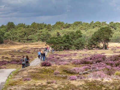 Villa Vacation Villa Bennekom - Environment photo 30