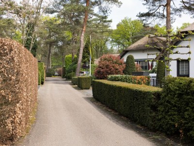 Villa Vacation Villa Bennekom - Environment photo 32