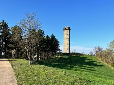 Villa VILLA GAIA - Environment photo 30