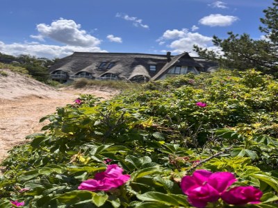 Holiday house Dünenhaus in Dierhagen - Outdoor photo 2