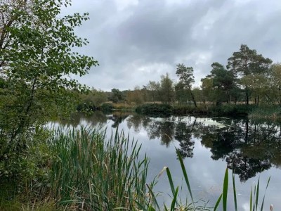 Holiday house Dünenhaus in Dierhagen - Environment photo 26