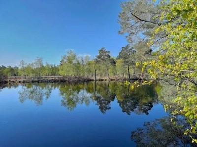 Holiday house Dünenhaus in Dierhagen - Environment photo 28
