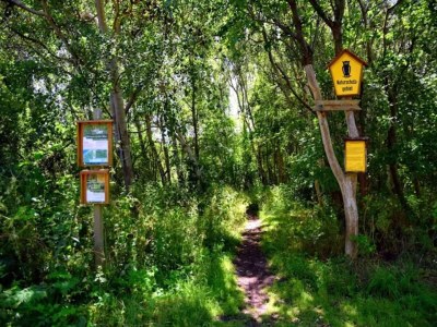 Holiday house Dünenhaus in Dierhagen - Environment photo 29