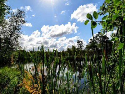 Holiday house Dünenhaus in Dierhagen - Environment photo 30