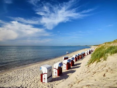 Holiday house Dünenhaus in Dierhagen - Environment photo 34