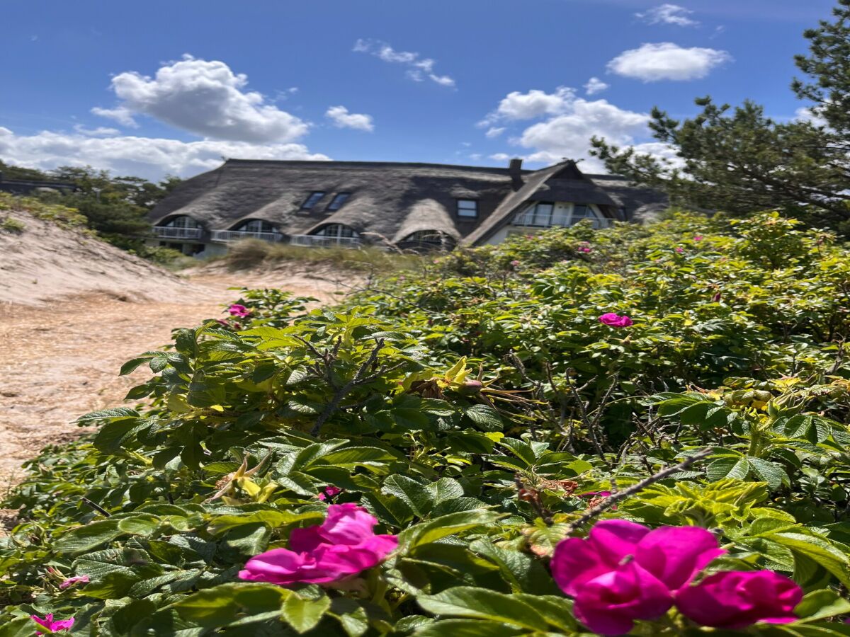 Holiday house Dünenhaus in Dierhagen - Outdoor photo 5
