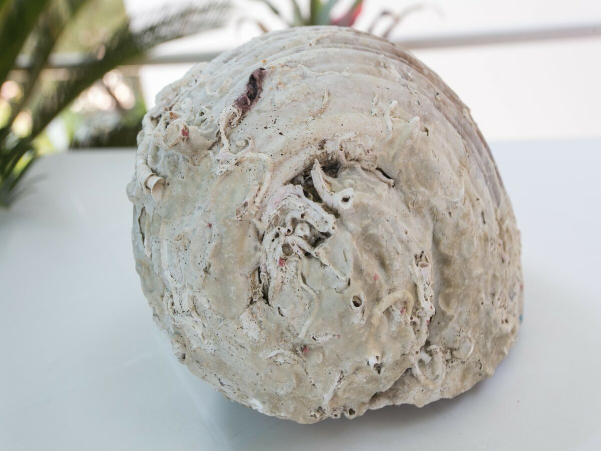 Apartment Guest House Oreb - One Bedroom Apartment with Terrace and Sea View - Outdoor photo 2