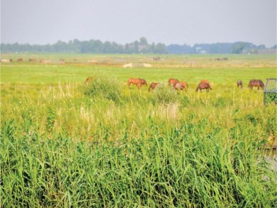 Holiday house Haus in Sneek nahe den Friesischen Seen - Environment photo 26
