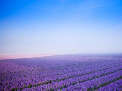 Holiday park Villa nahe Strand mit Garten-Terrasse - Environment photo 20