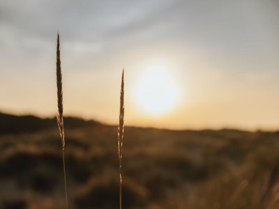 Holiday park Villa nahe Strand mit Garten-Terrasse - Environment photo 22