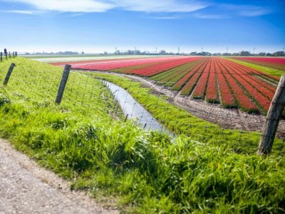 Holiday park Villa nahe Strand mit Garten-Terrasse - Environment photo 29