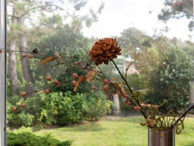 Holiday park Villa nahe Strand mit Garten-Terrasse - Environment photo 33