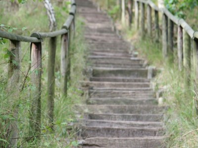 Holiday park Apartment in Netherlands near the Coast - Environment photo 19