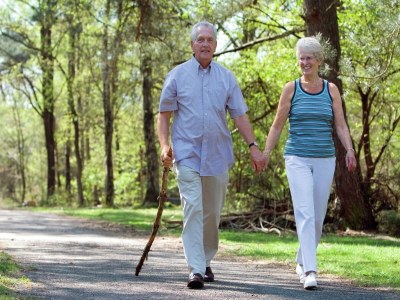 Holiday park Bungalow in den Niederlanden mit Sauna - Environment photo 11
