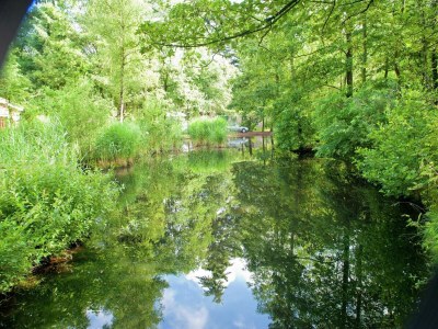 Holiday park Bungalow in den Niederlanden mit Sauna - Environment photo 19