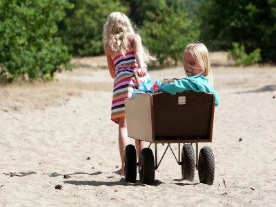 Holiday park Bungalow am Veluwe Sands - Environment photo 22