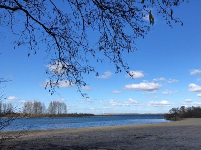 Holiday park Luxe Glamping Getaway - Environment photo 10