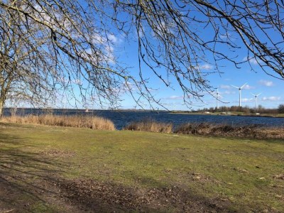 Holiday park Villa in Niederlande mit Sauna & Whirlpool - Environment photo 22