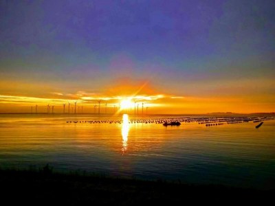 Holiday park Villa in Aquadelta with Child-Friendly Features - Environment photo 17