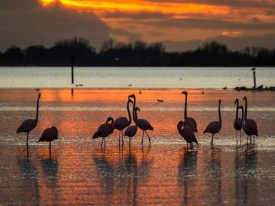 Holiday park Villa in Aquadelta with Child-Friendly Features - Environment photo 23