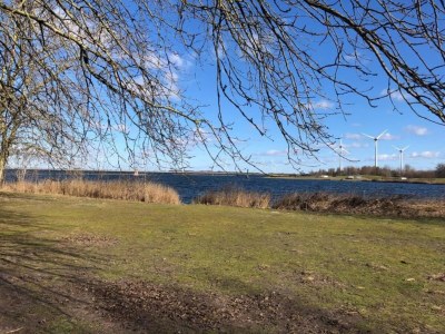 Holiday park Villa in Aquadelta with Private Sauna - Environment photo 17