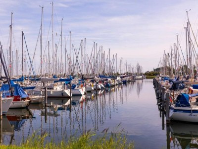 Holiday park Villa in Aquadelta by the Water - Environment photo 11