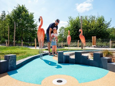 Holiday park Villa in Aquadelta with Sauna & Jacuzzi - Outdoor photo 31