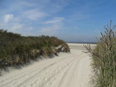 Holiday park Stilvolles Apartment am Meer - Environment photo 10