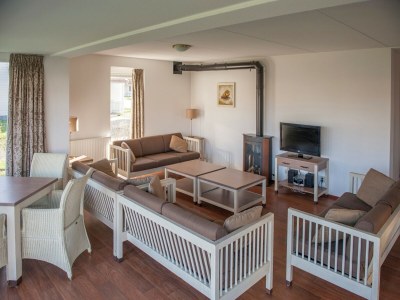 Holiday park Villa in Bruinisse mit Sauna und Garten - Features photo 5