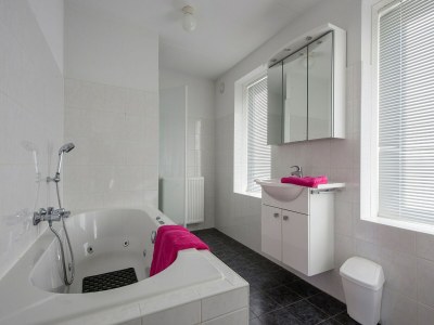 Holiday park Villa in Bruinisse mit Sauna und Garten - Features photo 7