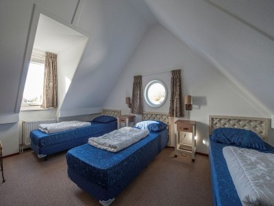 Holiday park Villa in Bruinisse mit Sauna und Garten - Features photo 8