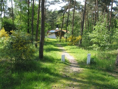 Holiday park Bungalow in Herperduin with Private Garden - Environment photo 13