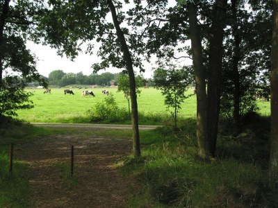 Holiday park Modernes Refugium am Seeufer - Environment photo 13