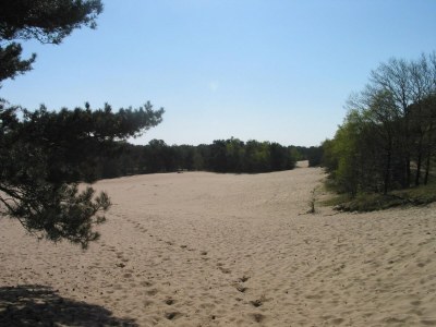 Holiday park Bauernhaus in Herperduin mit Whirlpool - Environment photo 17