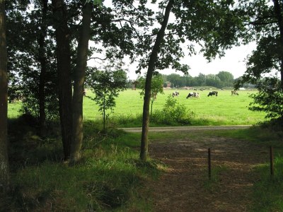 Holiday park Bauernhaus in Herperduin mit Whirlpool - Environment photo 18