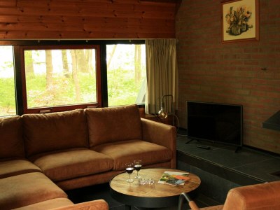 Holiday park Forest Hideaway with Fireplace - Features photo 2