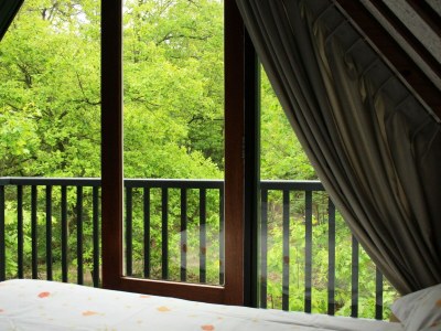 Holiday park Forest Hideaway with Fireplace - Features photo 3